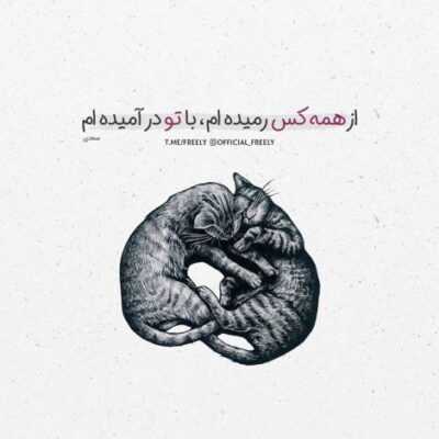 دانلود آهنگ   دوست دارم رو تو به من کی میگی گمون کنم وقت گل نی میگی