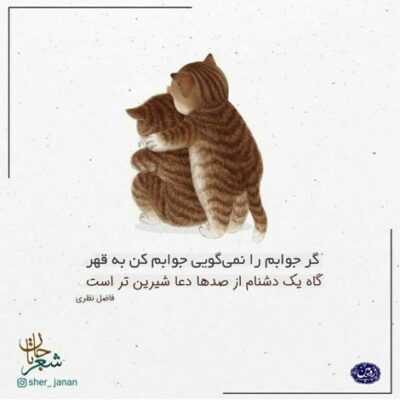 دانلود آهنگ  نیس شنیدن این حرفا بعید وقتی میپاشن رو مغزا اسید دیگه نداره حتی حال ناله مرغ سحر