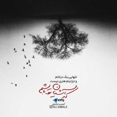 دانلود آهنگ عاشق نبودی تو من عاشقت بودم در قبله گاه عشق بودی تو معبودم  آرام وآسوده در خواب خوش بودی