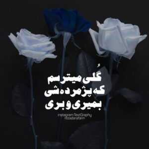 دانلود آهنگ تو مرامم نیست ازت دل بکنم اومدم ازت دل ببرم میگفتم من عاشق نمیشم مسیح آرش