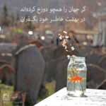 دانلود آهنگ برف تو جاده دلگیره واسم نیستی و بی تو مرده احساسم میدونم این زمستونم میلاد بابایی دانلود آهنگ برف تو جاده دلگیره واسم نیستی و بی تو مرده احساسم میدونم این زمستونم میلاد بابایی