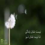 دانلود آهنگ عشق اول منی تک و تنهای تو ام از نگاه اولت پیر چشمای توام میلاد بابایی دانلود آهنگ عشق اول منی تک و تنهای تو ام از نگاه اولت پیر چشمای توام میلاد بابایی