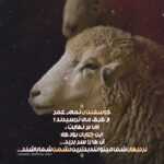 دانلود آهنگ یالا موهاتو ببند اون شونه هاتو به من یه شب واسه گریه بده قرض برم آرش AP