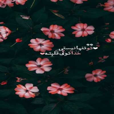دانلود آهنگ  من چه بجنگم چه نجنگم کل این بازی رو باختم من چه بمونم چه نمونم 
