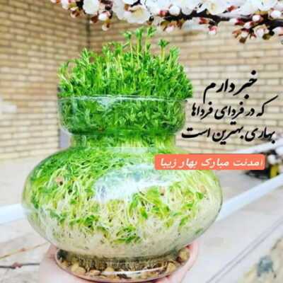 دانلود آهنگ  بعضی حرفارو نمیشه زد و من از همین حرفا یه عمره که پرم آخه 