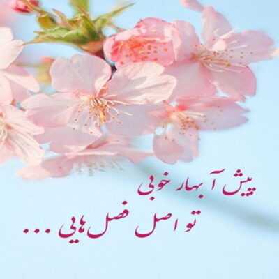 دانلود آهنگ معنی سکوت من سکوت نیست وقتی که از چشم تو افتادم 