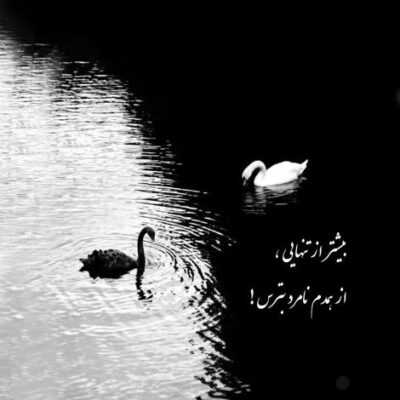 دانلود آهنگ یک پشیمانی بی فایده در حین سقوط شرح دلگیر ترین بابک جهانبخش دانلود آهنگ یک پشیمانی بی فایده در حین سقوط شرح دلگیر ترین