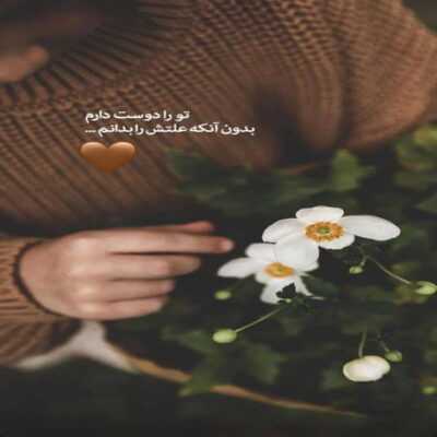 دانلود آهنگ چی بشه این عشق تو که حساسی منم احساسی
