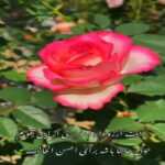 دانلود آهنگ ای چشمت زندانم عشقت شد جانم عاشق میمیرم عاشق میمانم آرون افشار دانلود آهنگ ای چشمت زندانم عشقت شد جانم عاشق میمیرم عاشق میمانم آرون افشار