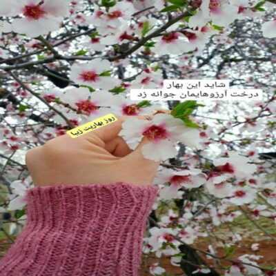 دانلود آهنگ وابسته ست تموم لحظه های زندگیم به خنده هات الهی که خودم بمیرم بابک جهانبخش دانلود آهنگ وابسته ست تموم لحظه های زندگیم به خنده هات الهی که خودم بمیرم