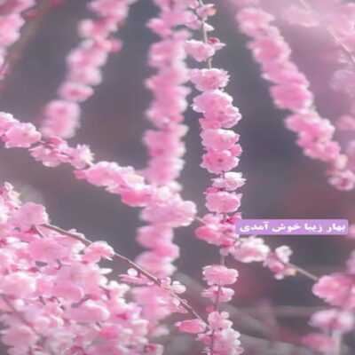 دانلود آهنگ  هنوزم تو چراهای زندگیم میگردم کجای راهو غلط رفتم تورو گم کردم