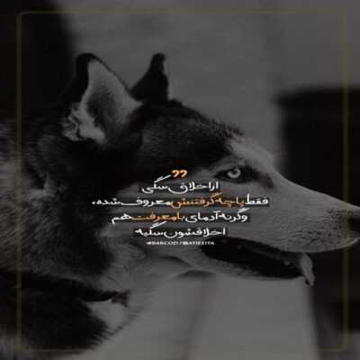 دانلود آهنگ دیدن ازم همه هرچی نباید میدیدن و دیگه ترسی ندارم تو پی زندگی من پی مردنم