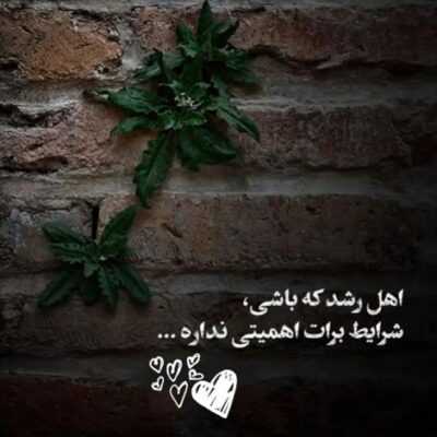 دانلود آهنگ واسه چشات کلی دادم پول به ما خونه بچه ها و بچه ها خونه ما وقتی این مولکولا حل میشن