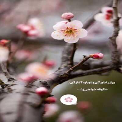 دانلود آهنگ چرا قوی تر از کوکاکولاییم فکر کردی خدایین حتما رو کوکائین بخوابین شب رو دانلود آهنگ چرا قوی تر از کوکاکولاییم فکر کردی خدایین حتما رو کوکائین بخوابین شب رو