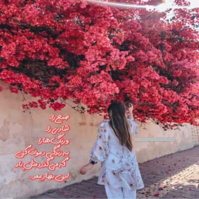دانلود آهنگ  میام باهات توی دانست رحم نداره که دانست امشبم زده شانست