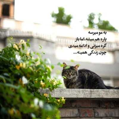 دانلود آهنگ نباشی نمیترسم من ا هیچی تایممو واسه تو گذاشتم الکی