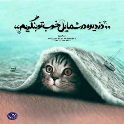 دانلود آهنگ  وقتی بی تابیه تنهایی میاد تو شبام حسه آشنایی میخوام