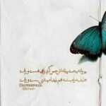 دانلود آهنگ بریز یکی نه دو تا کم بشه نور اتاق بریم وسط دانلود آهنگ بریز یکی نه دو تا کم بشه نور اتاق بریم وسط