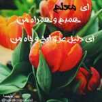 دانلود آهنگ بهم تکستات تو مستی نه نیستش نیازی دانلود آهنگ بهم تکستات تو مستی نه نیستش نیازی