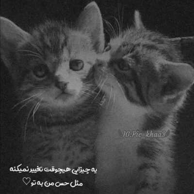 دانلود آهنگ   منده بیر یارالی ام بونان آرتیخ آغلاما قیزیل گولومین رنگی نیه سارالدی