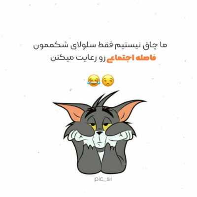دانلود آهنگ  هر چی سیبیل حسوده اینجا با من بده چون که کل پول خونشون ساعتمه این کشا زیاده