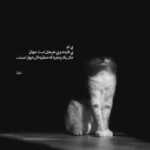 دانلود آهنگ وقتی که قهری وقتی که رفتی بارون نشسته روی چشام رفتنت مثل کابوسه امین حسنی دانلود آهنگ وقتی که قهری وقتی که رفتی بارون نشسته روی چشام رفتنت مثل کابوسه امین حسنی