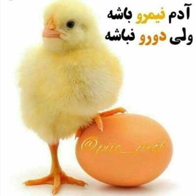 دانلود آهنگ  الآن آنتالیام یه ولی باز هم کالیفرنیام همه نخل ها تو باغ لم دادیم دم دریای سرخ