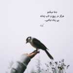 دانلود آهنگ چی شده کیفت کوک جوری که یادش نمیاد کی چت بود زیر سیصد تا جلو استیجت بود