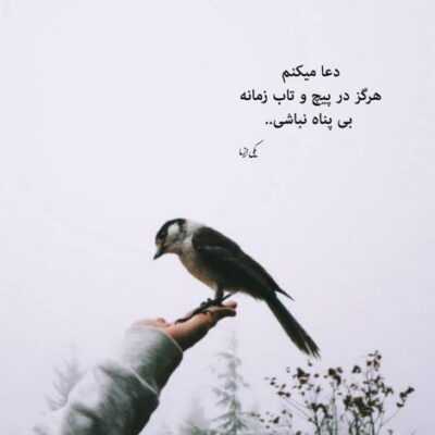 دانلود آهنگ   چی شده کیفت کوک جوری که یادش نمیاد کی چت بود زیر سیصد تا جلو استیجت بود