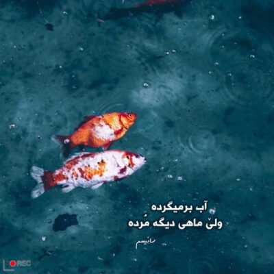 دانلود آهنگ همیشه اخلاق تو فرق داشت یه روز خوبی و بدی فرداش دانلود آهنگ همیشه اخلاق تو فرق داشت یه روز خوبی و بدی فرداش