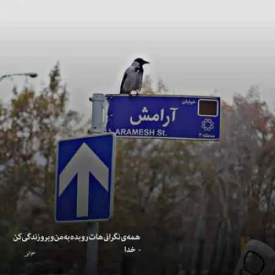 دانلود آهنگ از اولم نداشتی هیچ حسی به من از سر تنهایی بوده مهیار دانلود آهنگ از اولم نداشتی هیچ حسی به من از سر تنهایی بوده مهیار