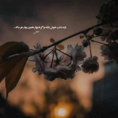 دانلود آهنگ ای آرزوی مخفی شب میلاد من مصطفی عابدینی