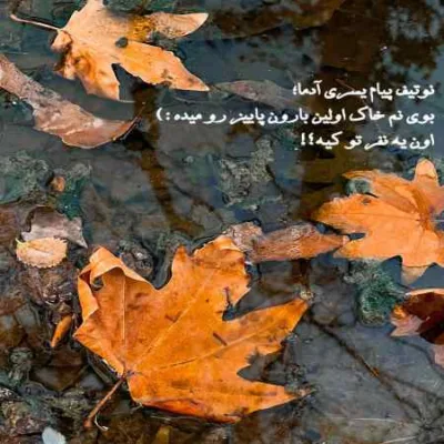 دانلود آهنگ  خشم از صورت سردم بشور که من زندگی نکردم اگه کردم به زور
