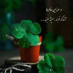 دانلود آهنگ لیلا لیلا آهای فرشته ی مغرور لیلا لیلا لیلی باش بشم برات مجنون