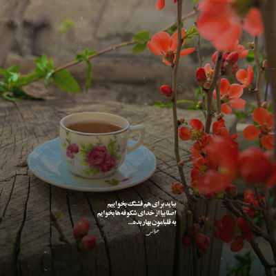 دانلود آهنگ اومدی تو دلم موندنی شدی آره آروم و کم کم