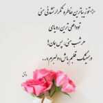 دانلود آهنگ صور زدی به گلا فابمی به مولا