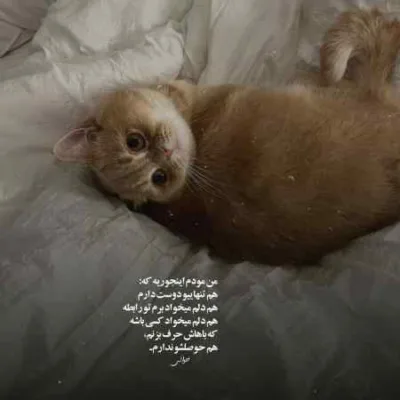 دانلود آهنگ رفیقمی خیلی میخوامت تو بودی وقتی هیچکی نبود دلم همیشه گرمه به تو مسلک