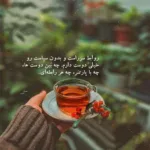 دانلود آهنگ صدتا رفیق دارم تو از خوباشی داداشی جواد نکایی دانلود آهنگ صدتا رفیق دارم تو از خوباشی داداشی جواد نکایی