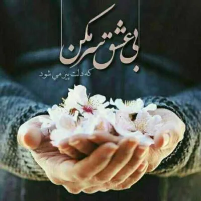 دانلود آهنگ  آی برارم آی برارم بریز جام شرابو که حال دل خرابه سعید محمدی