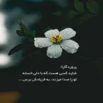 دانلود آهنگ بی تو من بیمارم احساس خفگی کم فرهاد جهانگیری