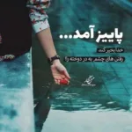 دانلود آهنگ همیشگیه قلبم پره دردم شده سردم میشه بیای فرید درویشی