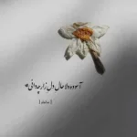 دانلود آهنگ موبایلت منو کشته پروفایلت منو کشته دانلود آهنگ موبایلت منو کشته پروفایلت منو کشته