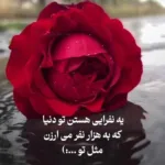 دانلود آهنگ زندگی جز با تو برام حرومه علی عبدالمالکی دانلود آهنگ زندگی جز با تو برام حرومه علی عبدالمالکی