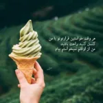 دانلود آهنگ عکس گل امیدم افتاده بود رو برکه