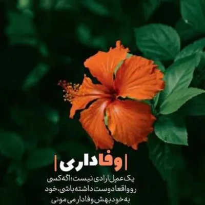 دانلود آهنگ هنگام شنا مثل یه دست و پا چلفتی