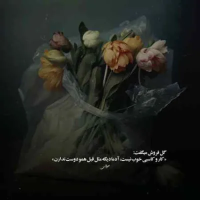 دانلود آهنگ کبوتر دلم از لب بوم دلت نمیپره با صدای دختر دانلود آهنگ کبوتر دلم از لب بوم دلت نمیپره با صدای دختر