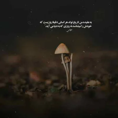 دانلود آهنگ لنگ توام چقد دلتنگ توام لری