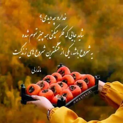دانلود آهنگ من از دار دنیا همین قلب و دارم تو هفت آسمونم تویی تک ستارم پویا بیاتی