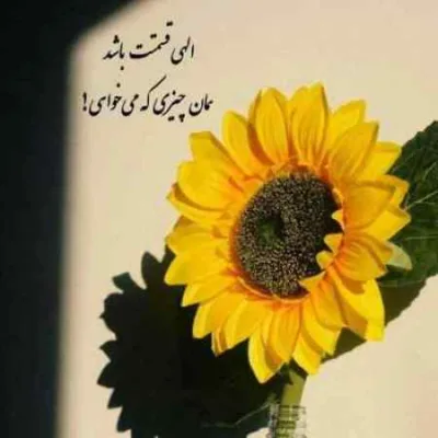 دانلود آهنگ  اگه بخوای میتونیم باز هم باهم بمونیم