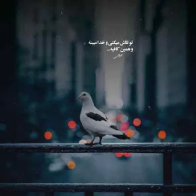 دانلود آهنگ  وقتی نیستی گل هستی خشک و بی رنگ میشه هوش مصنوعی